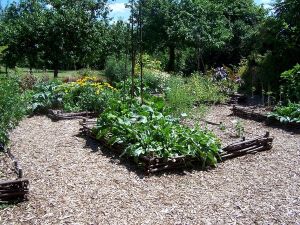 Aménagement paysager paillage bois déchiqueté Aménagement paysager paillage bois déchiqueté