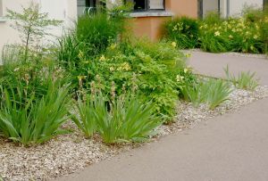 Paillage massif Sarthe