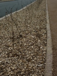 Plate bande paillage bois déchiqueté