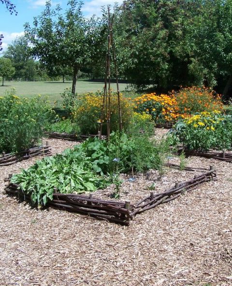 Paillage massif bois déchiqueté Paillage massif bois déchiqueté