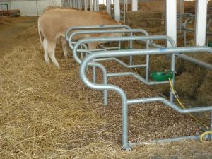 Litière animale bois déchiqueté